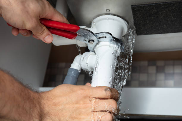 Best Flooded house restoration  in Moyock, NC