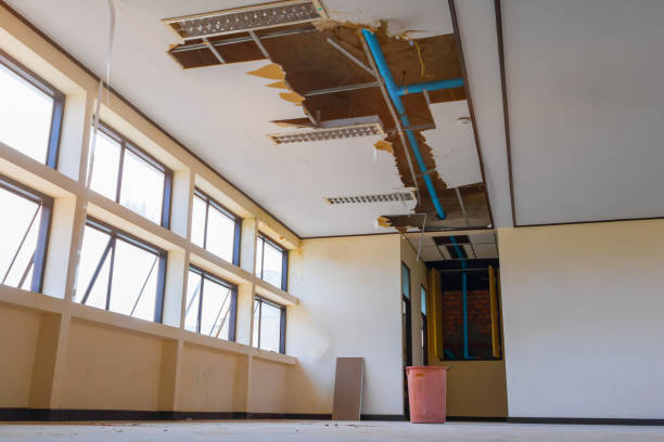 Best Water damage repair service  in Moyock, NC