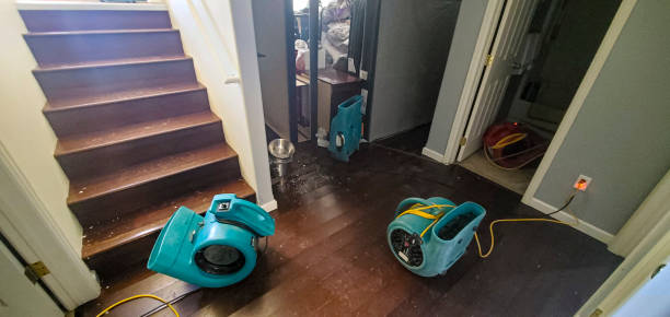 Best Sewage cleanup and water damage restoration  in Moyock, NC
