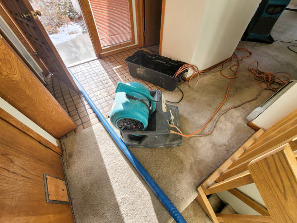 Best Water damage restoration near me  in Moyock, NC
