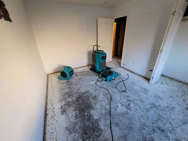 Best Water damage restoration insurance claims  in Moyock, NC