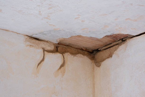 Best Sewage cleanup and water damage restoration  in Moyock, NC