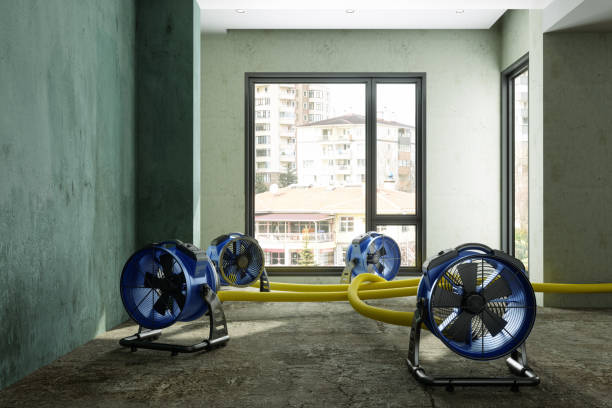 Best Carpet water damage restoration  in Moyock, NC